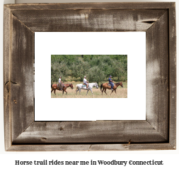 horse trail rides near me in Woodbury, Connecticut